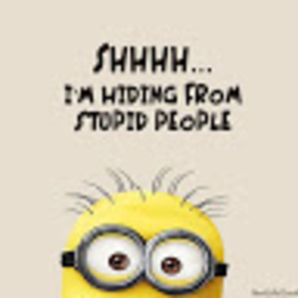 Meet your Posher, Haley - Picture 1 of 1